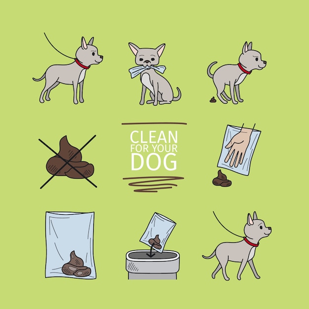 Nettoyer Après L'illustration Vectorielle D'informations Sur Votre Chien Vecteur Premium