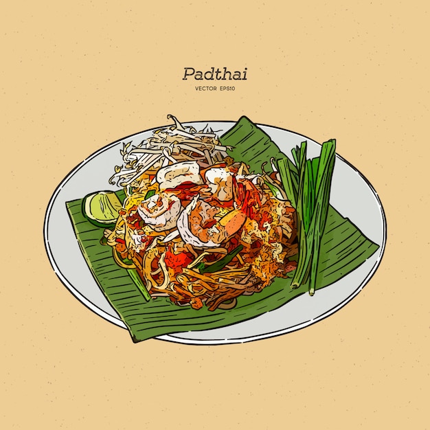 Nouilles Padthai Food Tha lande Dans Le Plat  Croquis 