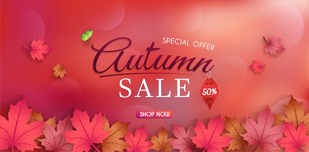 Offre spéciale automne. et conception de bannière de vente. avec des feuilles d'automne colorées de saison. Vecteur Premium