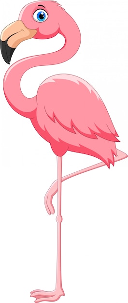 Oiseau Flamant Rose Dessin Anime Vecteur Premium