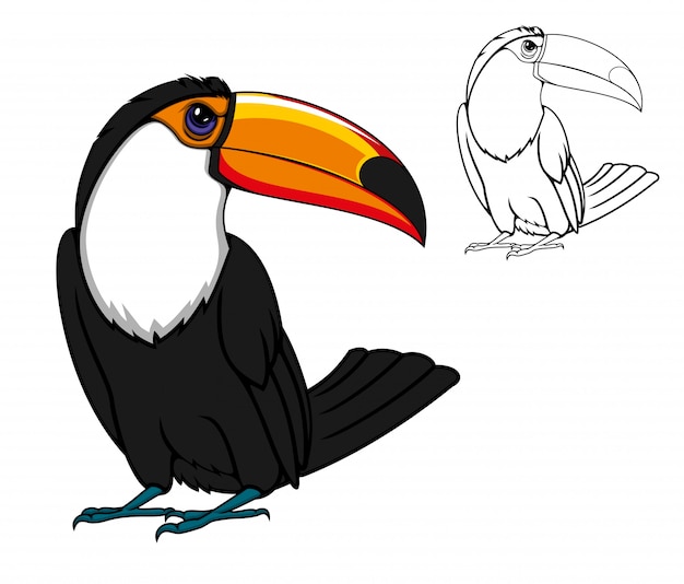  Oiseau  Toucan Tropical Exotique Animal De Dessin  Anim  