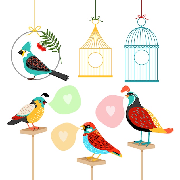 Oiseaux Chanteurs Avec Bulles Et Cages à Oiseaux