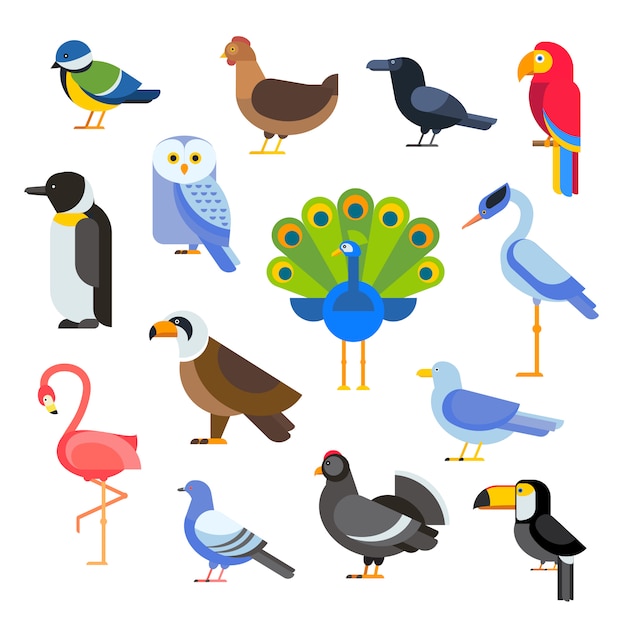 Oiseaux vector set illustration isolé Vecteur Premium