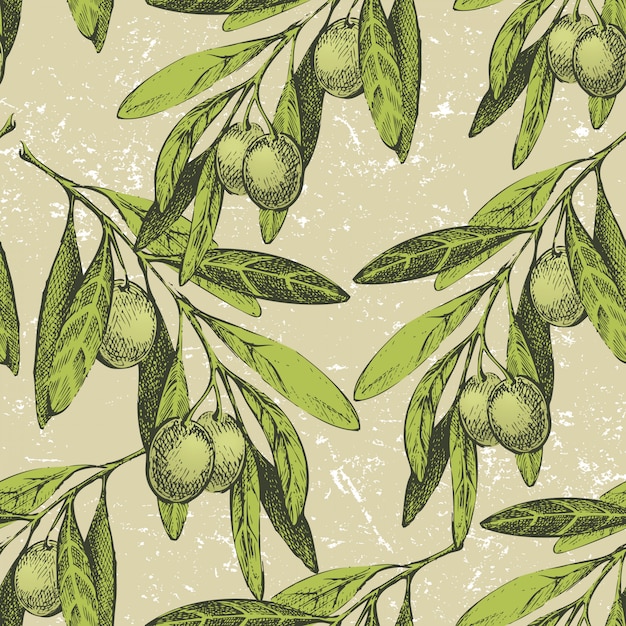 Ornement sans couture avec rameaux d'olive dessinés à la main Vecteur Premium