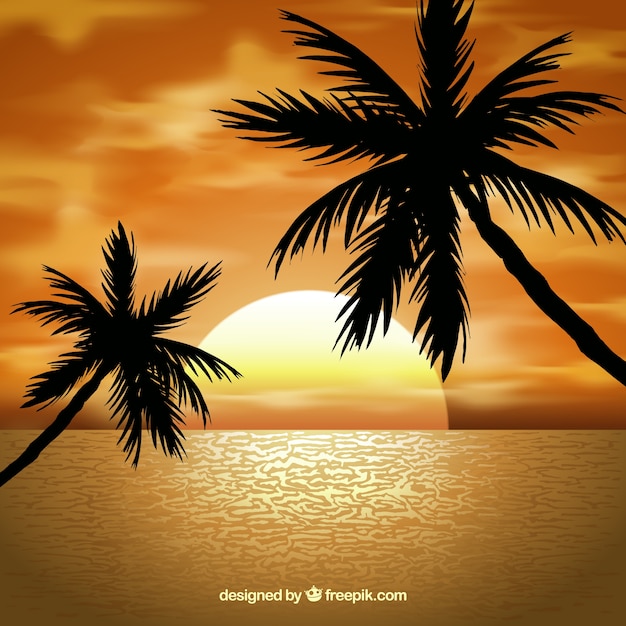 Dessin Coucher De Soleil Avec Palmier Paysage avec palmiers au coucher du soleil | Télécharger des Vecteurs