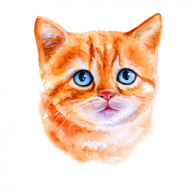 Petit Chaton Rouge A L Aquarelle Vecteur Premium