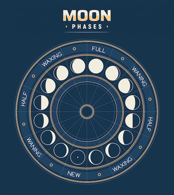 Phases De La Lune Calendrier Des Cycles Lunaires Vecteur Premium
