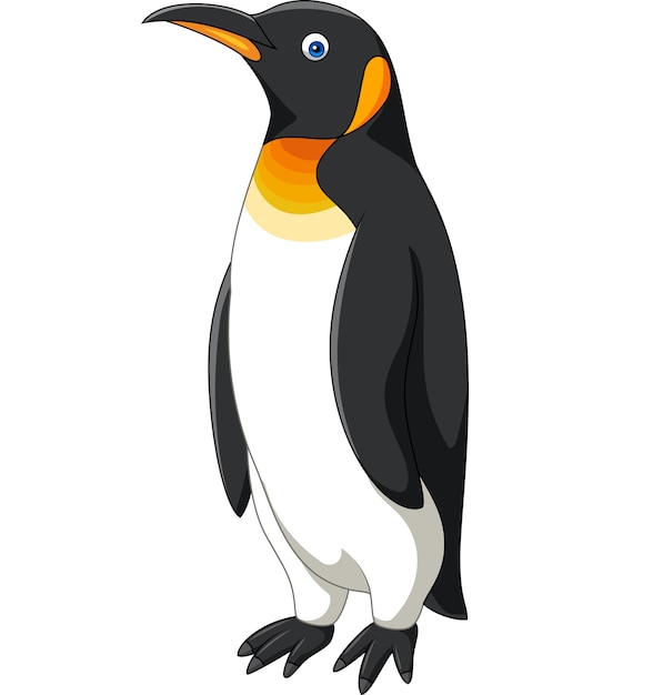 Pingouin De Dessin Anime Isole Sur Fond Blanc Vecteur Premium