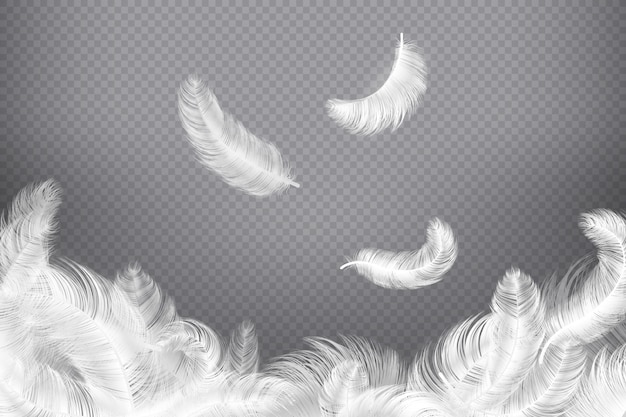 Plume Blanche Closeup Oiseau Ou Plumes D Ange Chutes De Panaches En Apesanteur Illustration De Reve Vecteur Premium