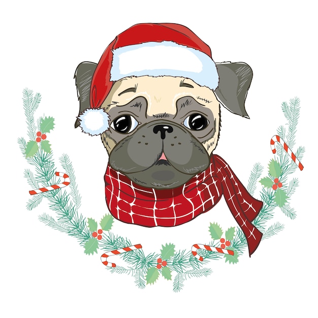 Portrait De Bouledogue Francais Mignon Au Chapeau De Noel Rouge Noel Du Pere Noel Vecteur Premium