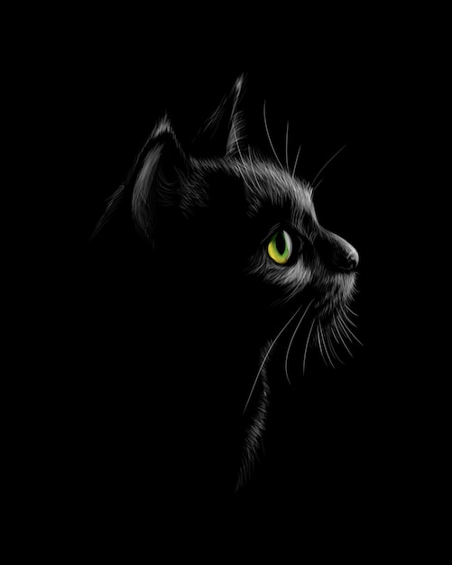 Portrait D Un Chat Sur Fond Noir Illustration Vecteur Premium