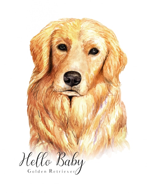 Portrait De Chien Golden Retriever Dessiné à La Main à L