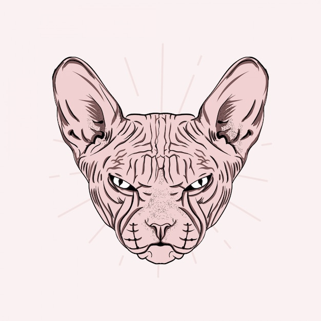 Portrait Dessine A La Main De Mignon Chat Sphinx Illustration Vecteur Premium