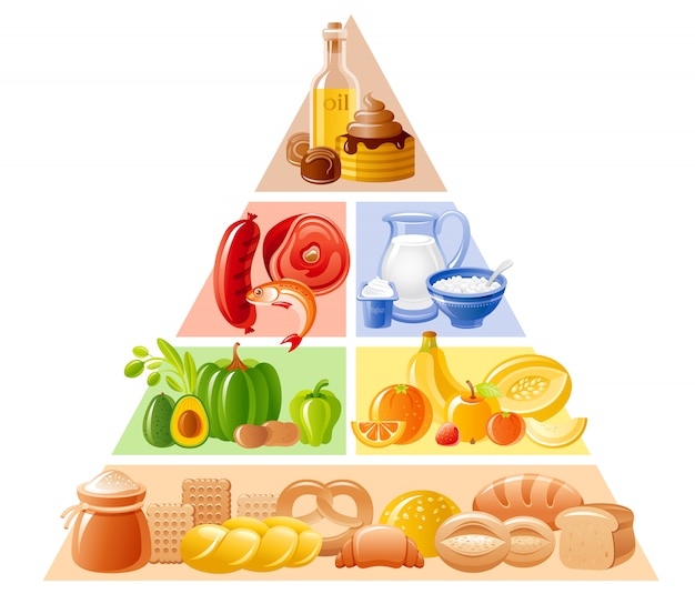 Pyramide Alimentaire Illustration Dune Alimentation Saine Infographie Nutritionnelle Avec 4467