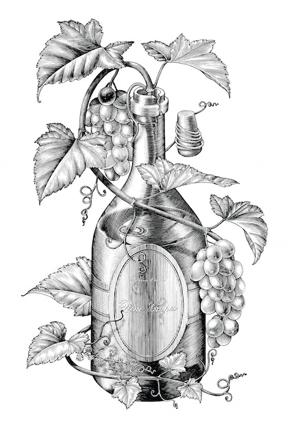 Raisins Twing Dans Illustration De Bouteille De Vin Noir Et Blanc Clipart Le Concept De Baguage De Raisins De Vin Vecteur Premium