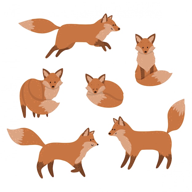 Des renards mignons dorment, s'assoient et sautent. ensemble Vecteur Premium