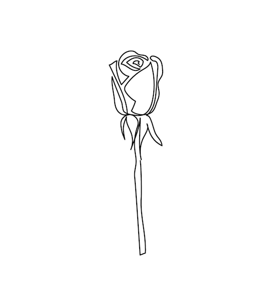 Rose, Fleur De Bouton De Rose Un Dessin Au Trait. Dessin Au Trait ...