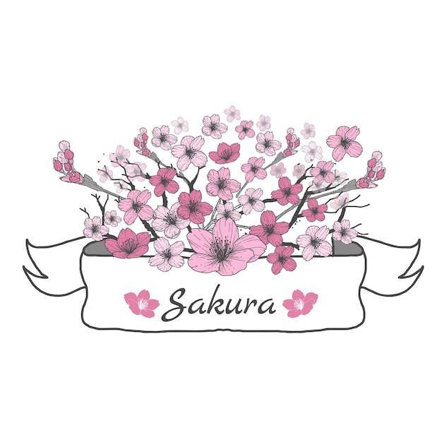 Ruban De Fleurs De Sakura Dessin Et Croquis Sur Fond Blanc