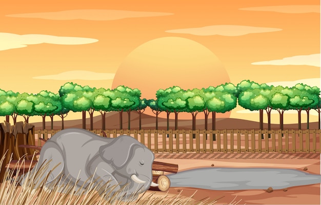 Scene Avec Elephant Au Zoo Vecteur Gratuite