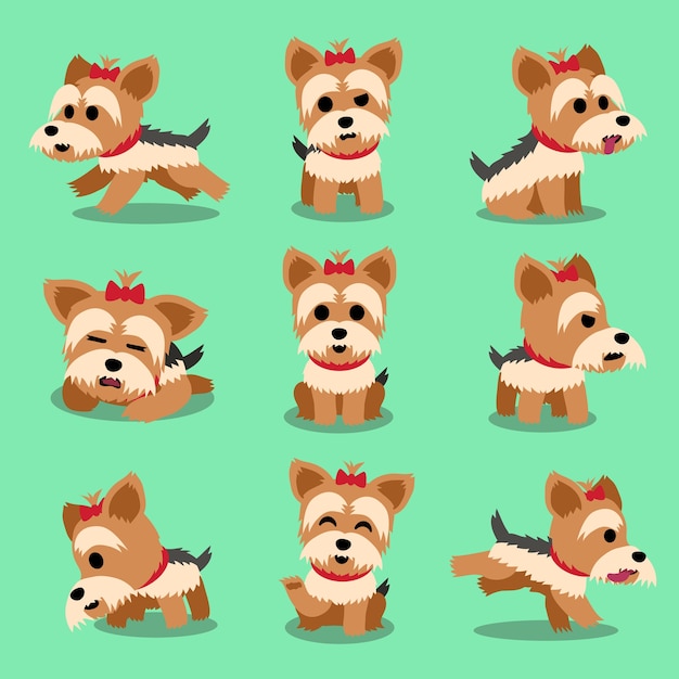 Set De Chien De Personnage De Dessin Animé Yorkshire Terrier