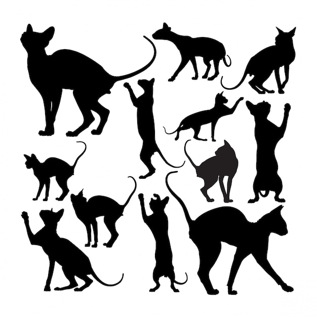 Silhouettes D Animaux Chat Sphynx Mignon Vecteur Premium