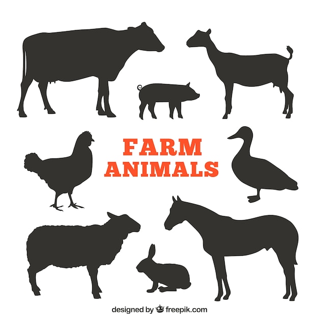 clipart gratuit animaux de la ferme - photo #24