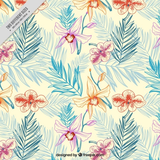 Sketched Fond  Floral  Vecteur Gratuite