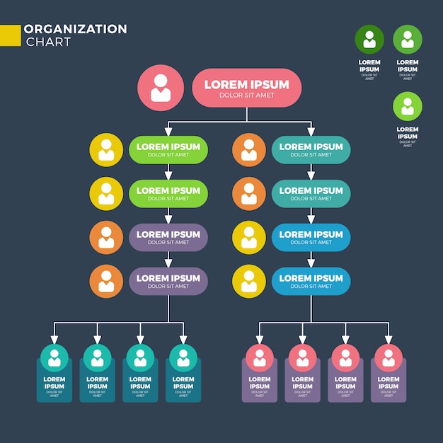 Structure organisationnelle de l'entreprise, organigramme hiérarchique