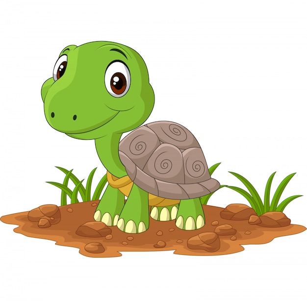 Tortue Bebe Dessin Anime Dans Le Domaine Vecteur Premium Tortue Bebe Dessin Anime Dans Le Domaine Vecteur Premium