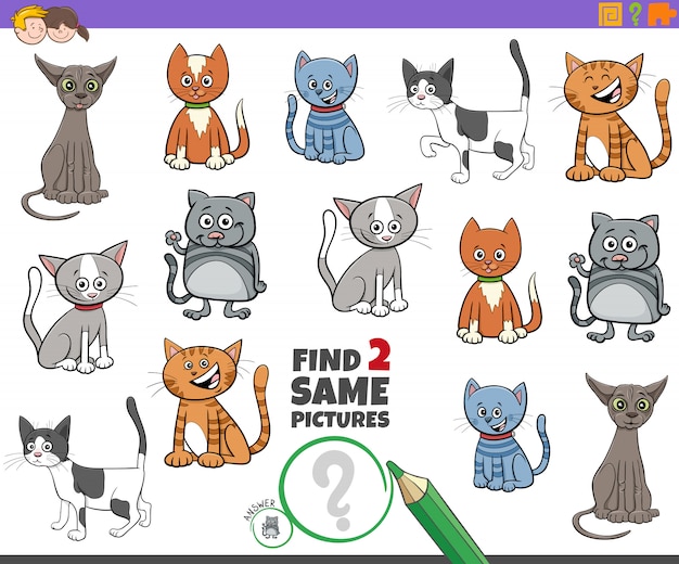 Trouver Deux Jeux De Chats Identiques Pour Les Enfants Vecteur Premium