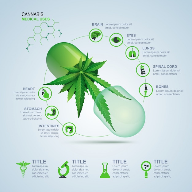 Utilisations Médicales Du Cannabis Pour Infographie | Vecteur Premium