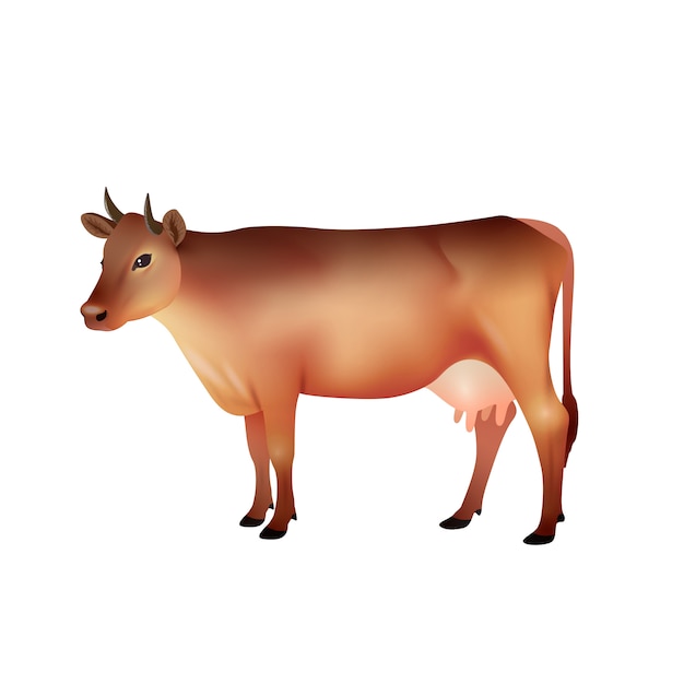 Vache Brune Realiste Vecteur Gratuite