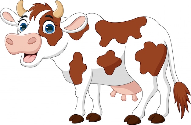 Vache De Dessin Animé Heureux Isolé Sur Fond Blanc | Vecteur Premium