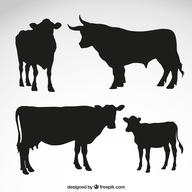 Vaches et silhouettes de taureaux Vecteur gratuit