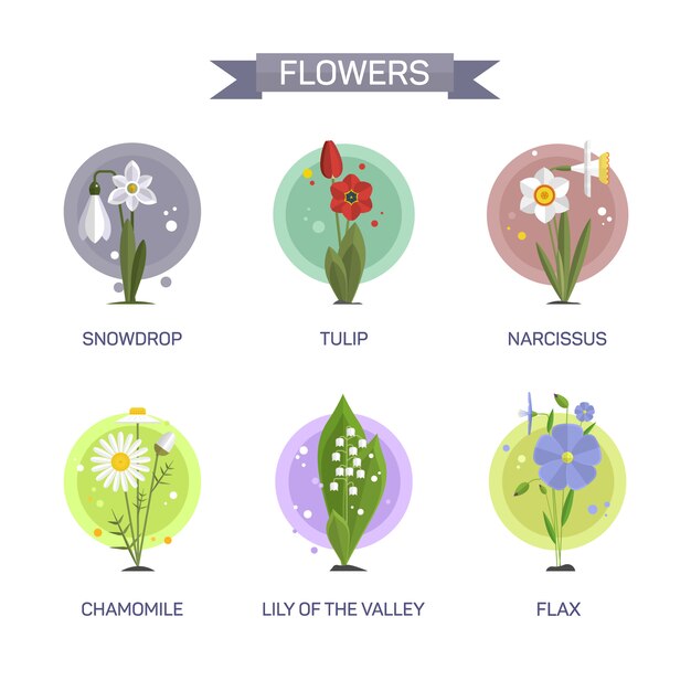 Vecteur de fleurs ensemble isolé. illustration dans la conception de style plat. tulipe, camomille, perce-neige, lis, narcisse, lin. Vecteur Premium