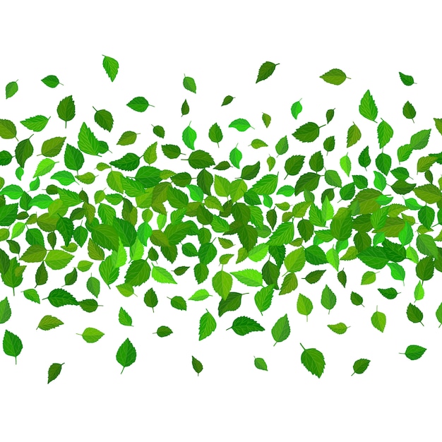 Vert vectorielle continue feuilles fond de bordure. Vecteur Premium