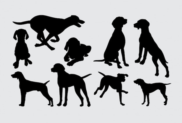 Vizsla Silhouette Animal Chien Action | Vecteur Premium