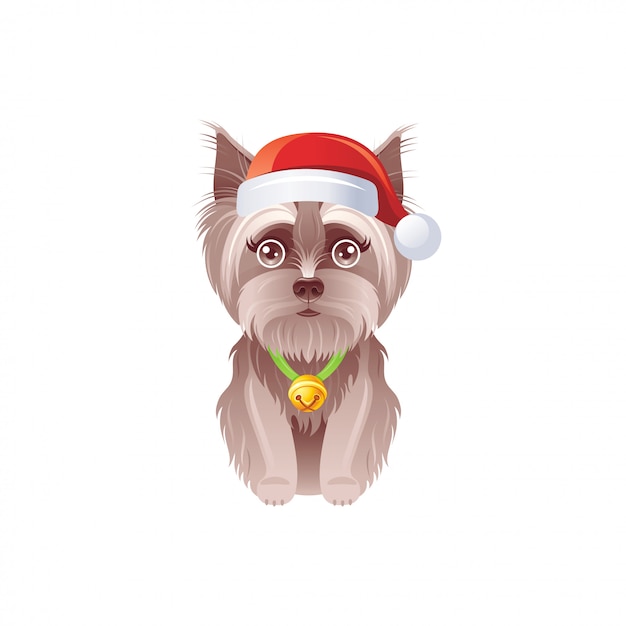 Yorkshire Terrier Mignon Dans Bonnet De Noel Avec Jingle