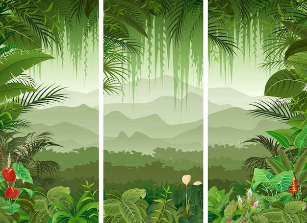 3 Banners Verticales Conjunto De Fondo De Bosque Tropical Vector Premium 1818