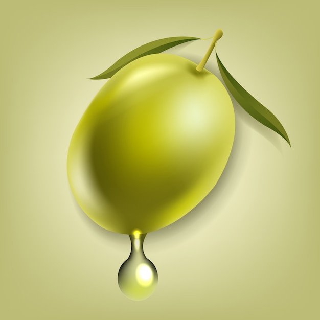 Aceitunas con hoja de fondo verde aislado Vector Premium