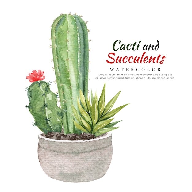 Acuarela de cactus y suculentas en maceta. | Vector Premium