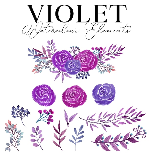 Acuarela De Flores Violetas Vector Premium