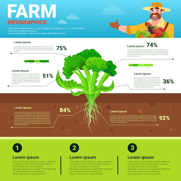 Agricultura Infograf A Ecol Gico Org Nico Natural Vegetal Crecimiento