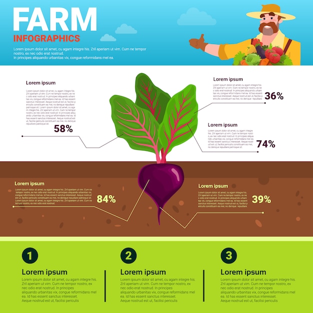 Agricultura infografía ecológico orgánico natural vegetal crecimiento