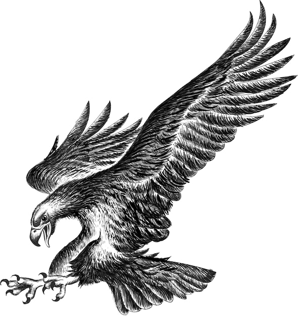 Águila blanco y negro Vector Premium