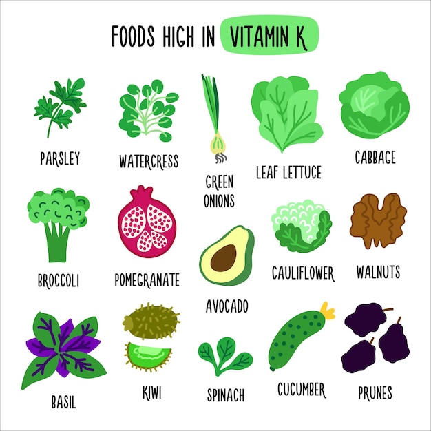 Alimentos ricos en vitamina k ilustración vectorial con alimentos