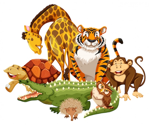 Animales | Vector Gratis