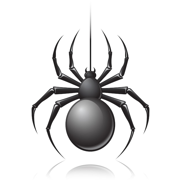 Araña negra | Vector Gratis