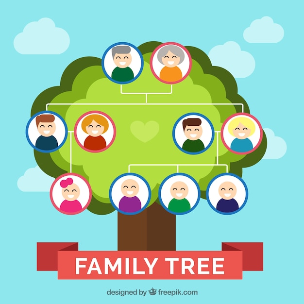 Arbol Genealogico De Colores En Diseno Plano Descargar Vectores Gratis