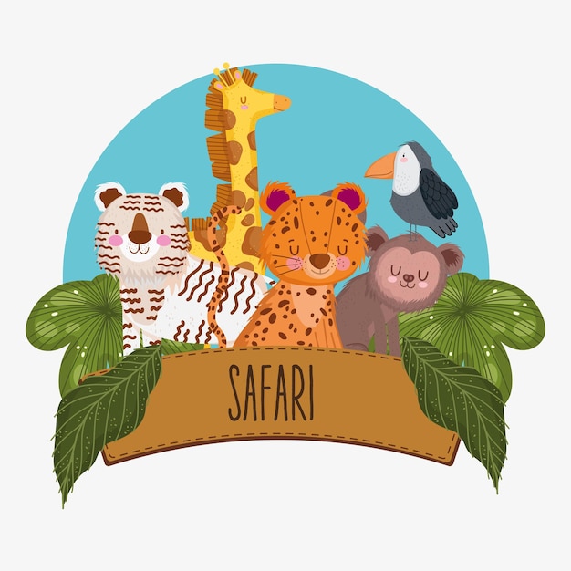 safari facebook banner